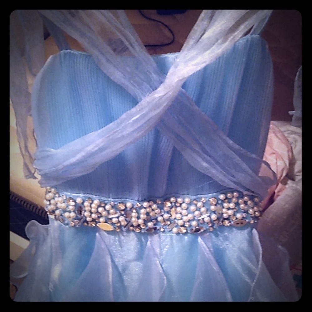 A Cinderella inspired vintage Ballgown dress